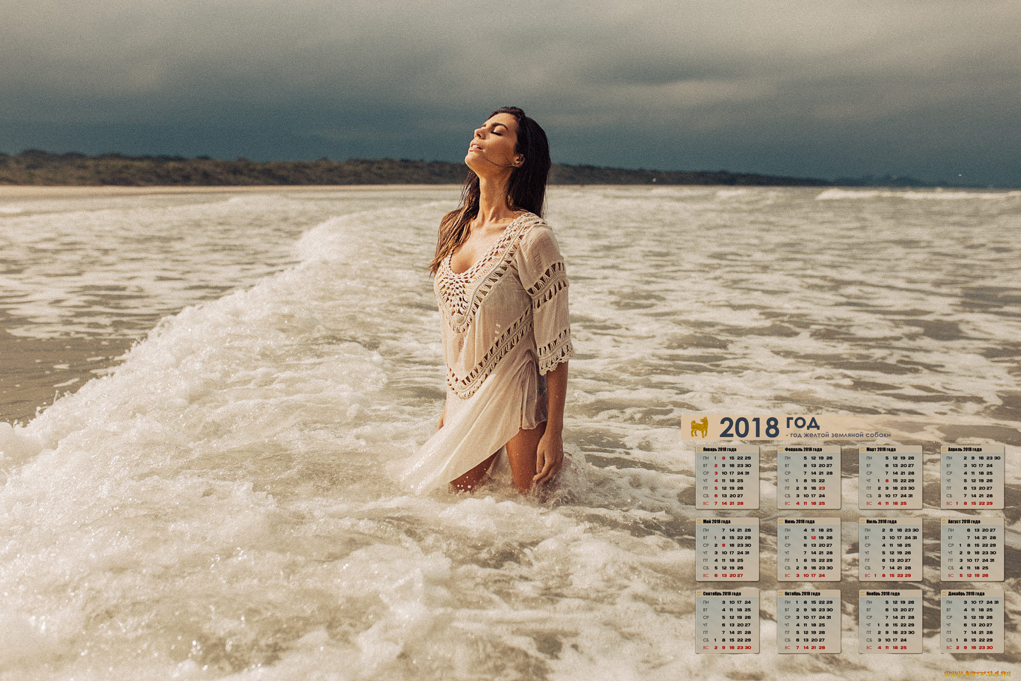 , , 2018, 